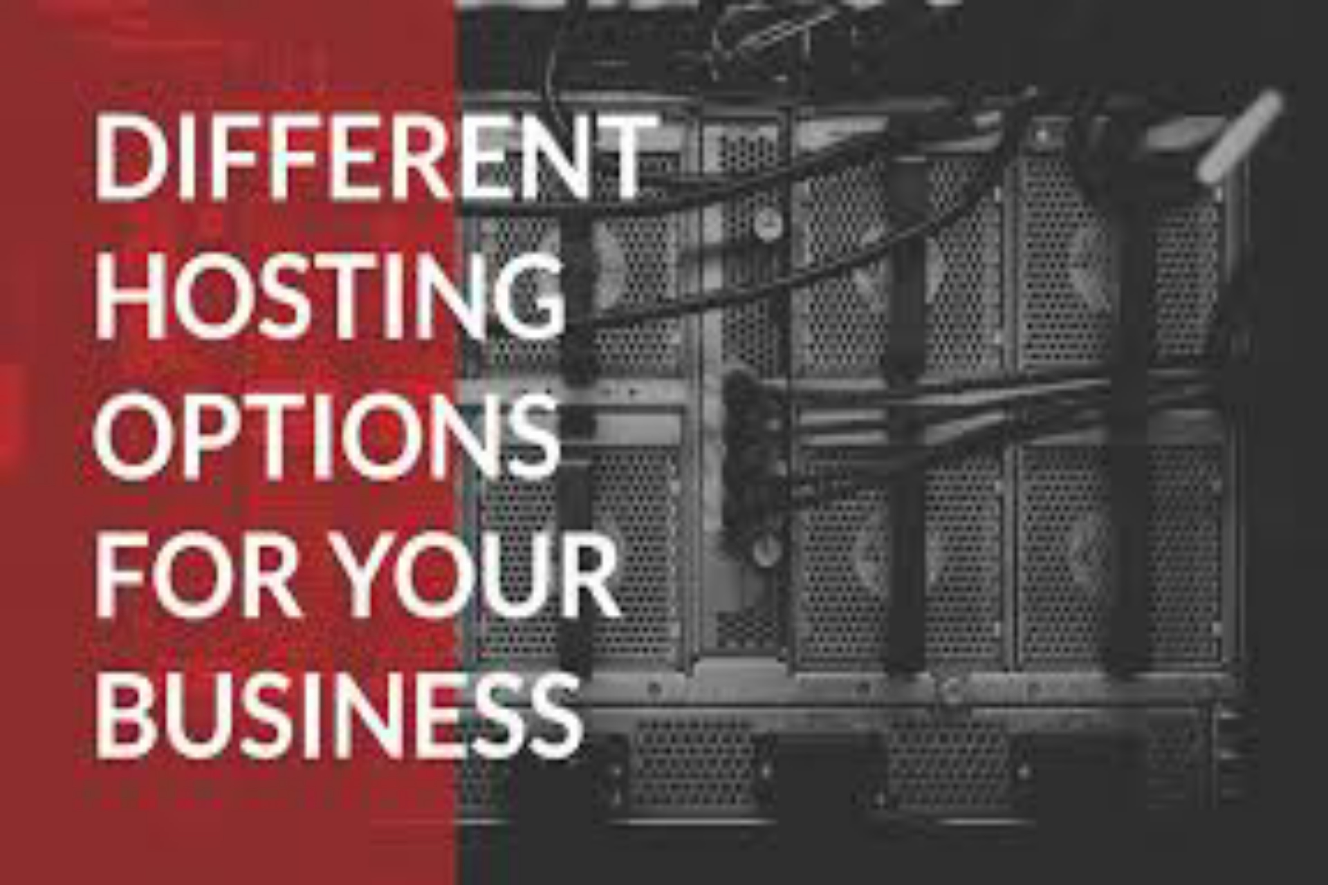 beautiful-brainstorming-business-1136757